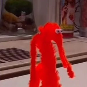 Meet your Posher, Balls